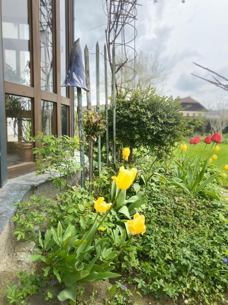 Traumhaft Grosse Ferienwohnung Naehe Attersee Занкт-Ґеорґен-ім-Аттерґау Екстер'єр фото